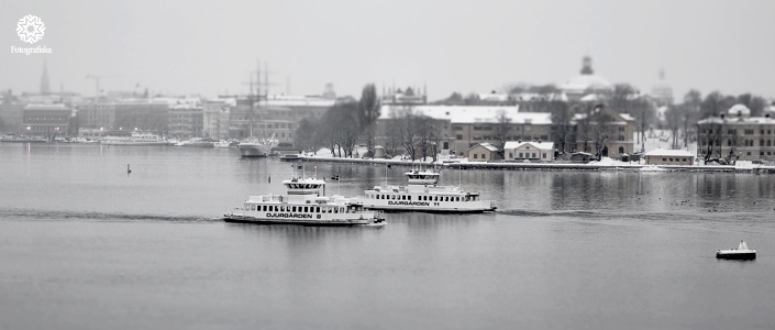 Sinnenas julbord på Fotografiska